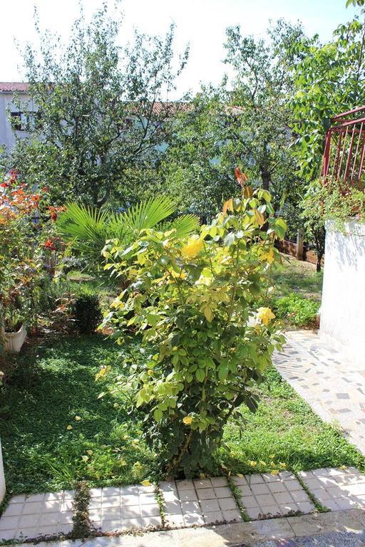 Pet Friendly Apartment In Porec With Wifi Rom bilde